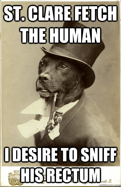 St. clare fetch the human  I desire to sniff his rectum - St. clare fetch the human  I desire to sniff his rectum  Old Money Dog