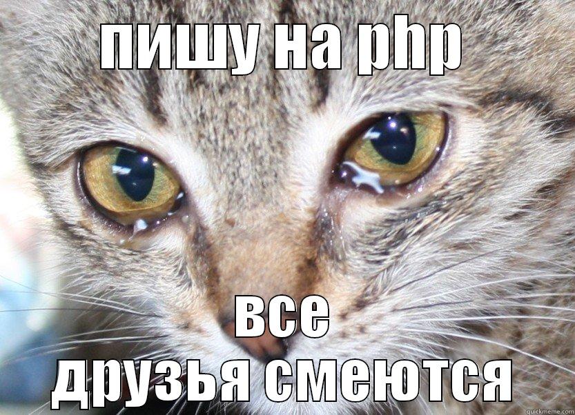 ПИШУ НА PHP ВСЕ ДРУЗЬЯ СМЕЮТСЯ Misc