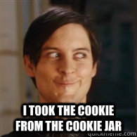  I took the cookie from the cookie jar -  I took the cookie from the cookie jar  Emo Peter Parker