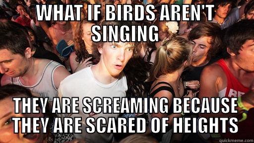 WHAT IF BIRDS AREN'T SINGING THEY ARE SCREAMING BECAUSE THEY ARE SCARED OF HEIGHTS Sudden Clarity Clarence