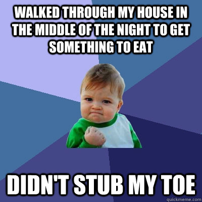 walked through my house in the middle of the night to get something to eat Didn't stub my toe  Success Kid