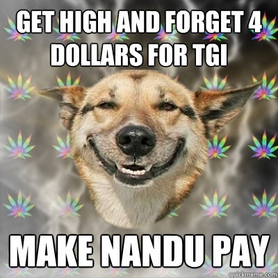 GET HIGH AND FORGET 4 DOLLARS FOR TGI MAKE NANDU PAY  Stoner Dog