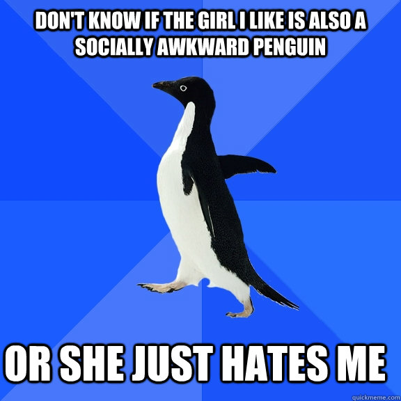 Don't know if the girl i like is also a socially awkward penguin or she just hates me    Socially Awkward Penguin