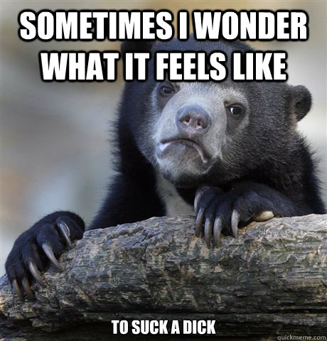 sometimes i wonder what it feels like to suck a dick - sometimes i wonder what it feels like to suck a dick  Confession Bear