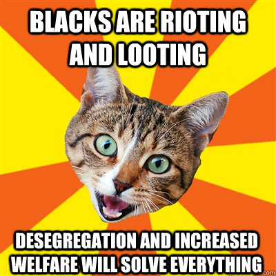 BLACKS ARE RIOTING AND LOOTING DESEGREGATION AND INCREASED WELFARE WILL SOLVE EVERYTHING - BLACKS ARE RIOTING AND LOOTING DESEGREGATION AND INCREASED WELFARE WILL SOLVE EVERYTHING  Bad Advice Cat