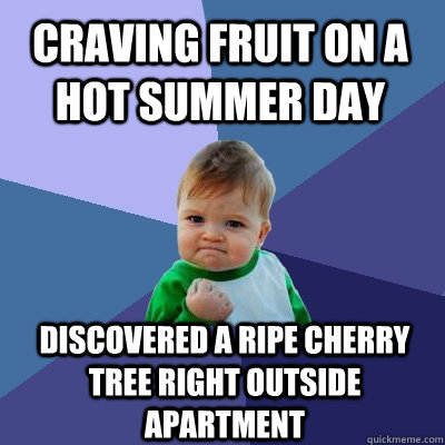 Craving fruit on a hot summer day Discovered a ripe Cherry tree right outside apartment   Success Kid