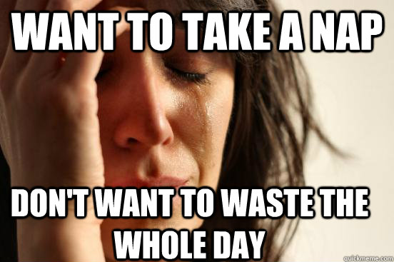 want to take a nap don't want to waste the whole day - want to take a nap don't want to waste the whole day  First World Problems