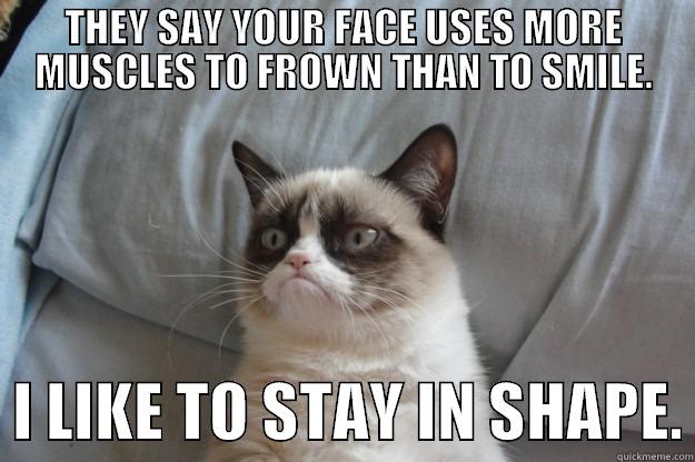 THEY SAY YOUR FACE USES MORE MUSCLES TO FROWN THAN TO SMILE.   I LIKE TO STAY IN SHAPE. Grumpy Cat