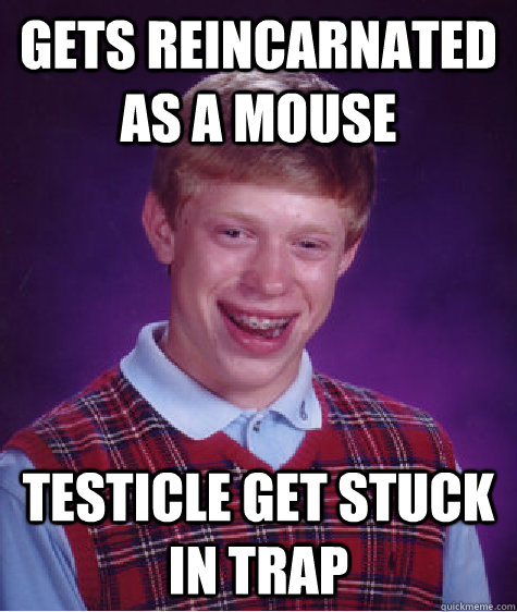 Gets reincarnated as a mouse testicle get stuck in trap  Bad Luck Brian