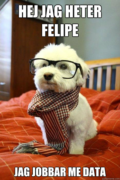 Hej jag heter Felipe Jag jobbar me data - Hej jag heter Felipe Jag jobbar me data  Hipster Dog