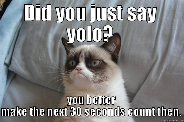 DID YOU JUST SAY YOLO? YOU BETTER MAKE THE NEXT 30 SECONDS COUNT THEN. Grumpy Cat