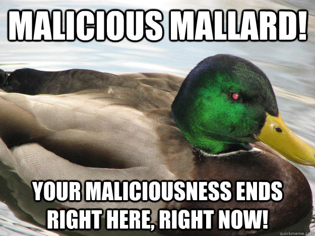 Malicious mallard! your maliciousness ends right here, right now! - Malicious mallard! your maliciousness ends right here, right now!  Angry Actual Advice Mallard