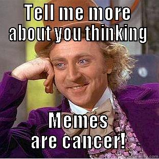 FAcebook Eeme :3 - TELL ME MORE ABOUT YOU THINKING MEMES ARE CANCER! Condescending Wonka