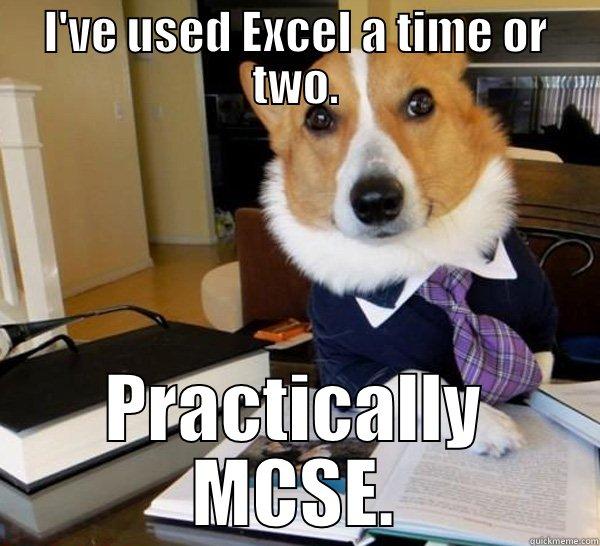 I'VE USED EXCEL A TIME OR TWO. PRACTICALLY MCSE. Lawyer Dog