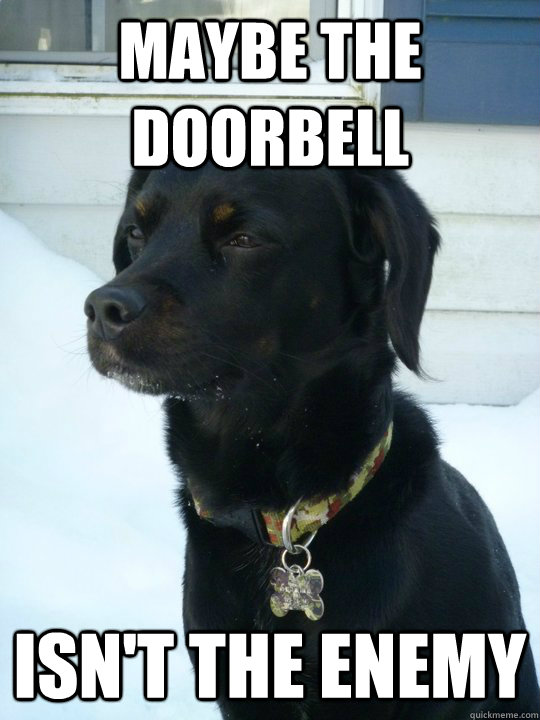 Maybe the doorbell isn't the enemy  Philosophical Puppy