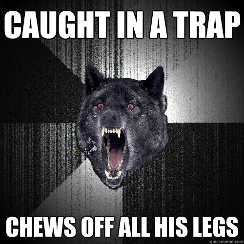 caught in a trap chews off all his legs  Insanity Wolf