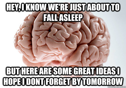 Hey, I know we're just about to fall asleep but here are some great ideas i hope i dont forget by tomorrow - Hey, I know we're just about to fall asleep but here are some great ideas i hope i dont forget by tomorrow  Scumbag Brain