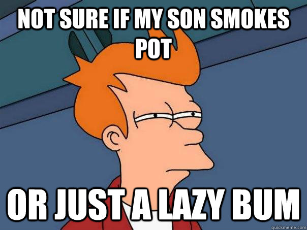 Not sure if my son smokes pot or just a lazy bum   Futurama Fry