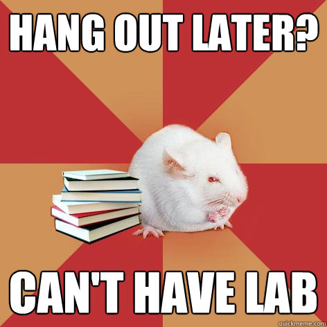 Hang out later? Can't have lab  Science Major Mouse