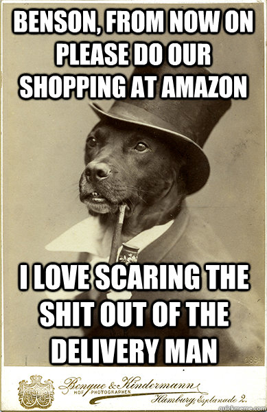 benson, from now on please do our shopping at Amazon I love scaring the shit out of the delivery man - benson, from now on please do our shopping at Amazon I love scaring the shit out of the delivery man  Old Money Dog