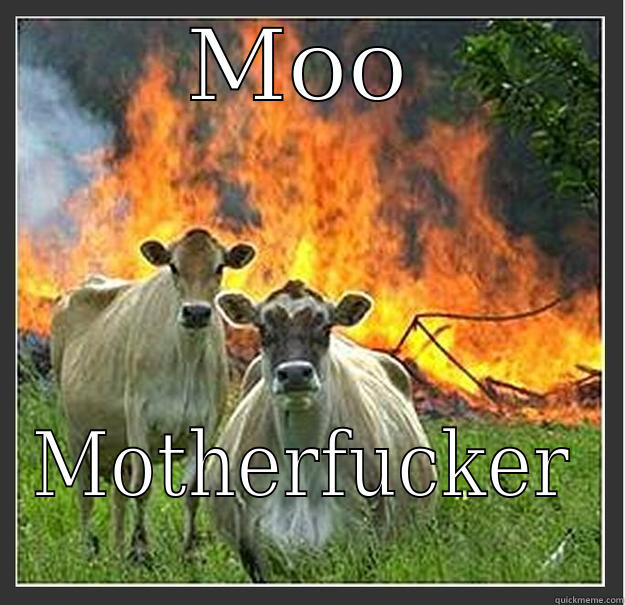 Cows gone bad - MOO MOTHERFUCKER Evil cows