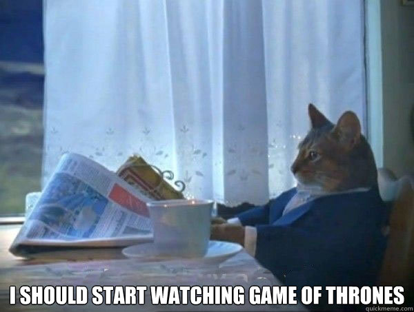  I should start watching game of thrones  morning realization newspaper cat meme