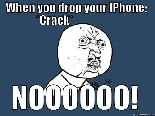 WHEN YOU DROP YOUR IPHONE: *CRACK*                     NOOOOOO! Y U No