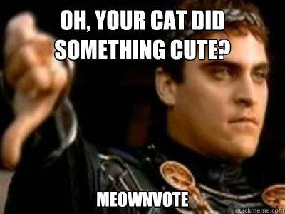 Oh, your cat did something cute? meownvote  Downvoting Roman