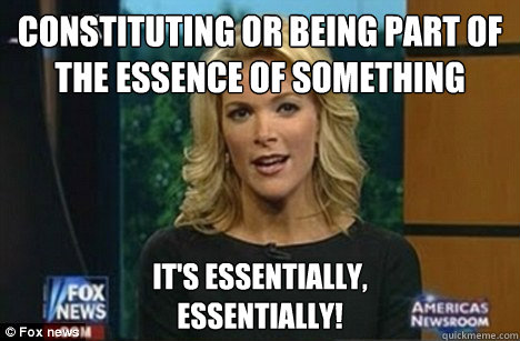 Constituting or being part of the essence of something It's essentially,
Essentially! - Constituting or being part of the essence of something It's essentially,
Essentially!  Megyn Kelly