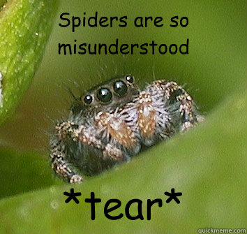 Spiders are so misunderstood *tear*  Misunderstood Spider