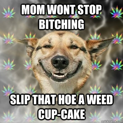 mom wont stop bitching slip that hoe a weed cup-cake  Stoner Dog