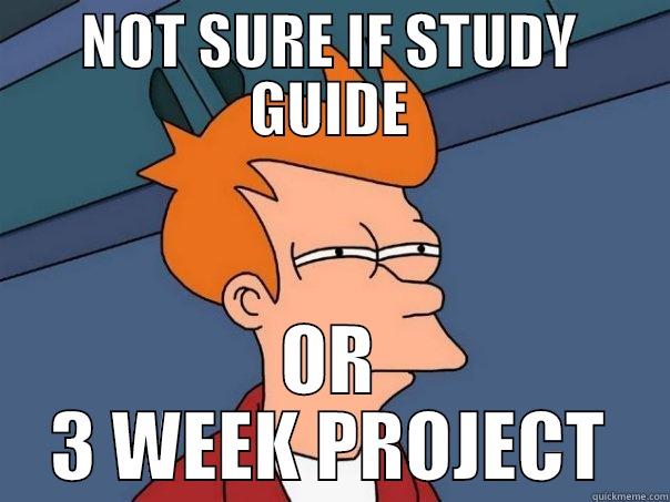 NOT SURE IF STUDY GUIDE OR 3 WEEK PROJECT Futurama Fry