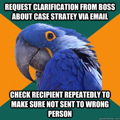 Request clarification from boss about case stratey via email check recipient repeatedly to make sure not sent to wrong person   Paranoid Parrot