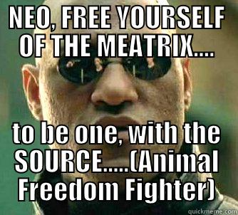 NEO, FREE YOURSELF OF THE MEATRIX.... TO BE ONE, WITH THE SOURCE.....(ANIMAL FREEDOM FIGHTER) Matrix Morpheus