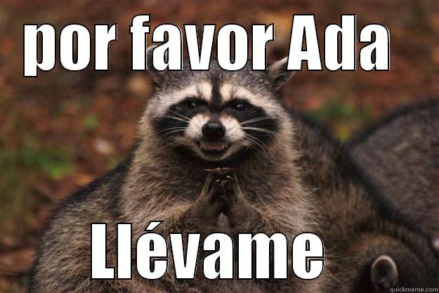 POR FAVOR ADA  LLÉVAME  Evil Plotting Raccoon