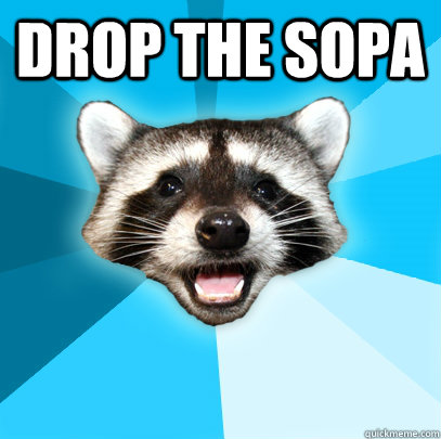 DROP THE SOPA  Lame Pun Coon