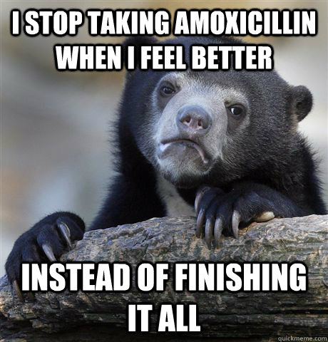 I stop taking amoxicillin when i feel better instead of finishing it all - I stop taking amoxicillin when i feel better instead of finishing it all  Confession Bear