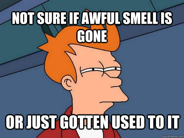 Not sure if awful smell is gone Or just gotten used to it  Futurama Fry