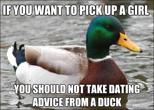 If you want to pick up a girl you should not take dating advice from a duck - If you want to pick up a girl you should not take dating advice from a duck  Actual Advice Mallard