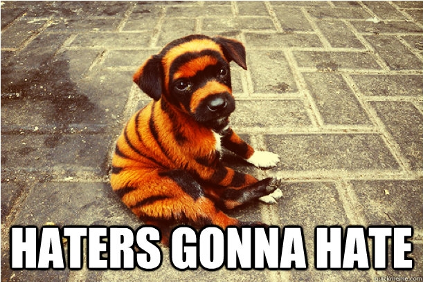  haters gonna hate -  haters gonna hate  tiger dog