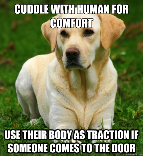 cuddle with human for comfort use their body as traction if someone comes to the door  Dog Logic