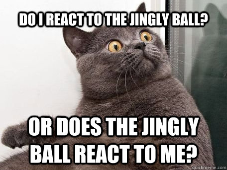 do i react to the jingly ball? or does the jingly ball react to me?  conspiracy cat