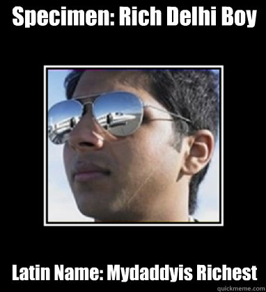 Specimen: Rich Delhi Boy Latin Name: Mydaddyis Richest  Rich Delhi Boy