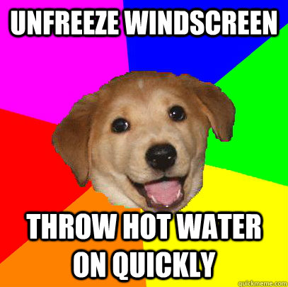 Unfreeze windscreen throw hot water on quickly  Advice Dog