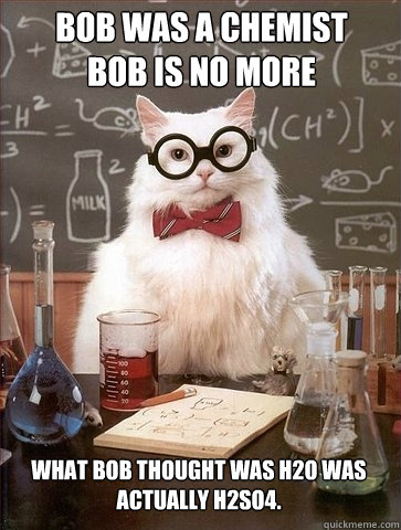 Bob was a chemist
Bob is no more what Bob thought was H2O was actually H2SO4.  - Bob was a chemist
Bob is no more what Bob thought was H2O was actually H2SO4.   Chemistry Cat