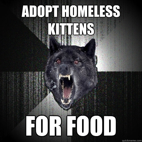 adopt homeless kittens for food  Insanity Wolf