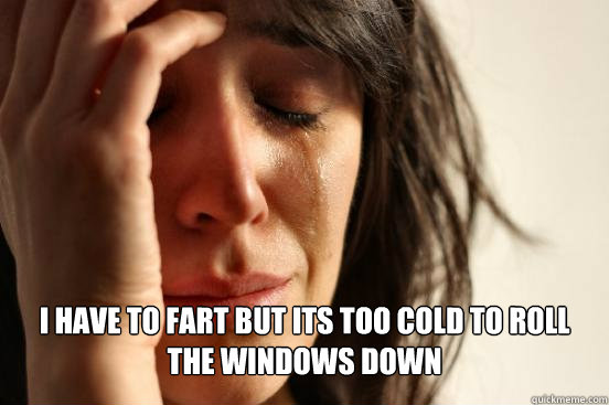  i have to fart but its too cold to roll the windows down  First World Problems