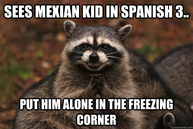 Sees mexian kid in spanish 3.. put him alone in the freezing corner  Evil Plotting Raccoon