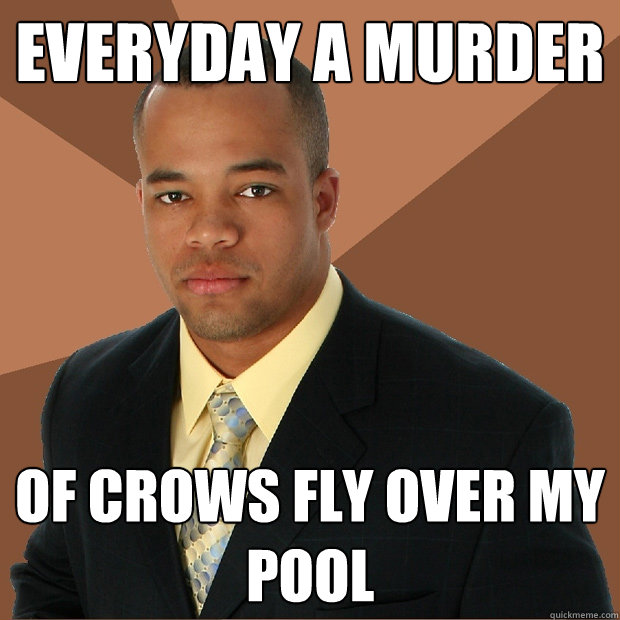 Everyday a murder of crows fly over my pool  Successful Black Man