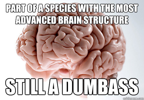 part of a species with the most advanced brain structure still a dumbass - part of a species with the most advanced brain structure still a dumbass  Scumbag Brain